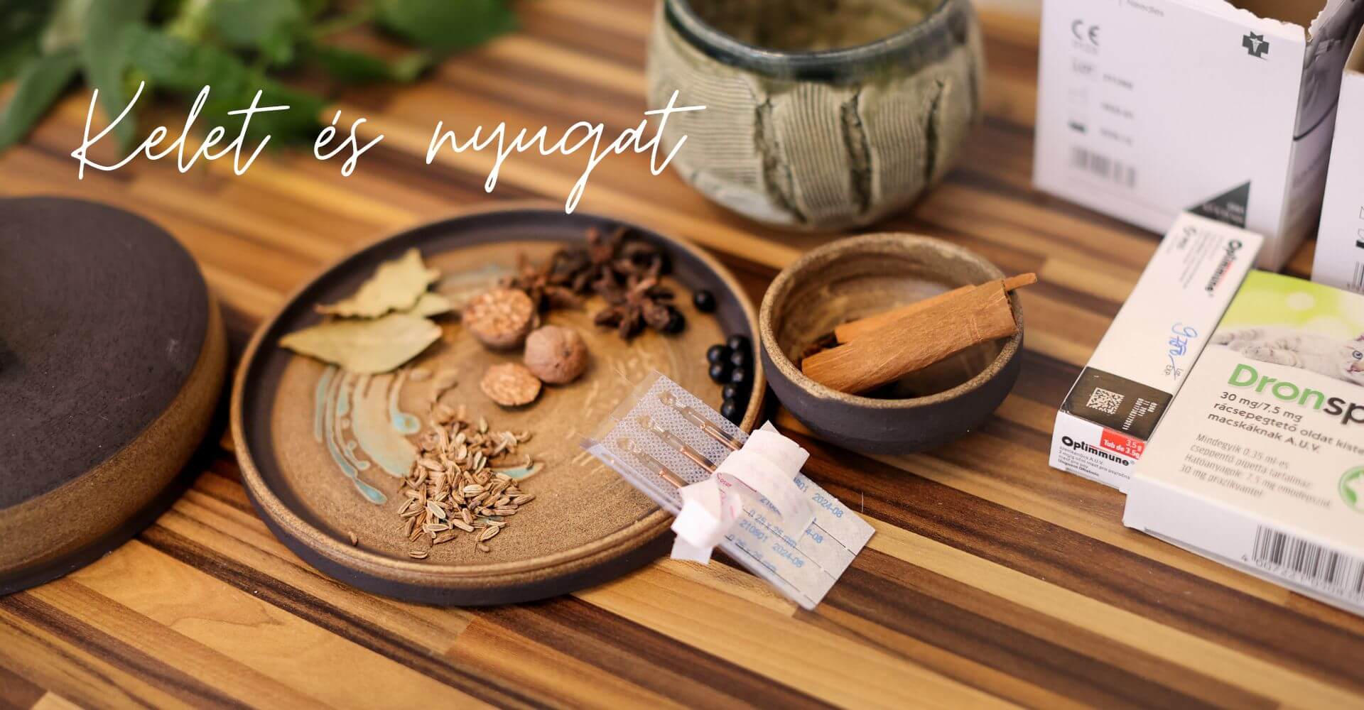 holisztikus_allatorvos_f