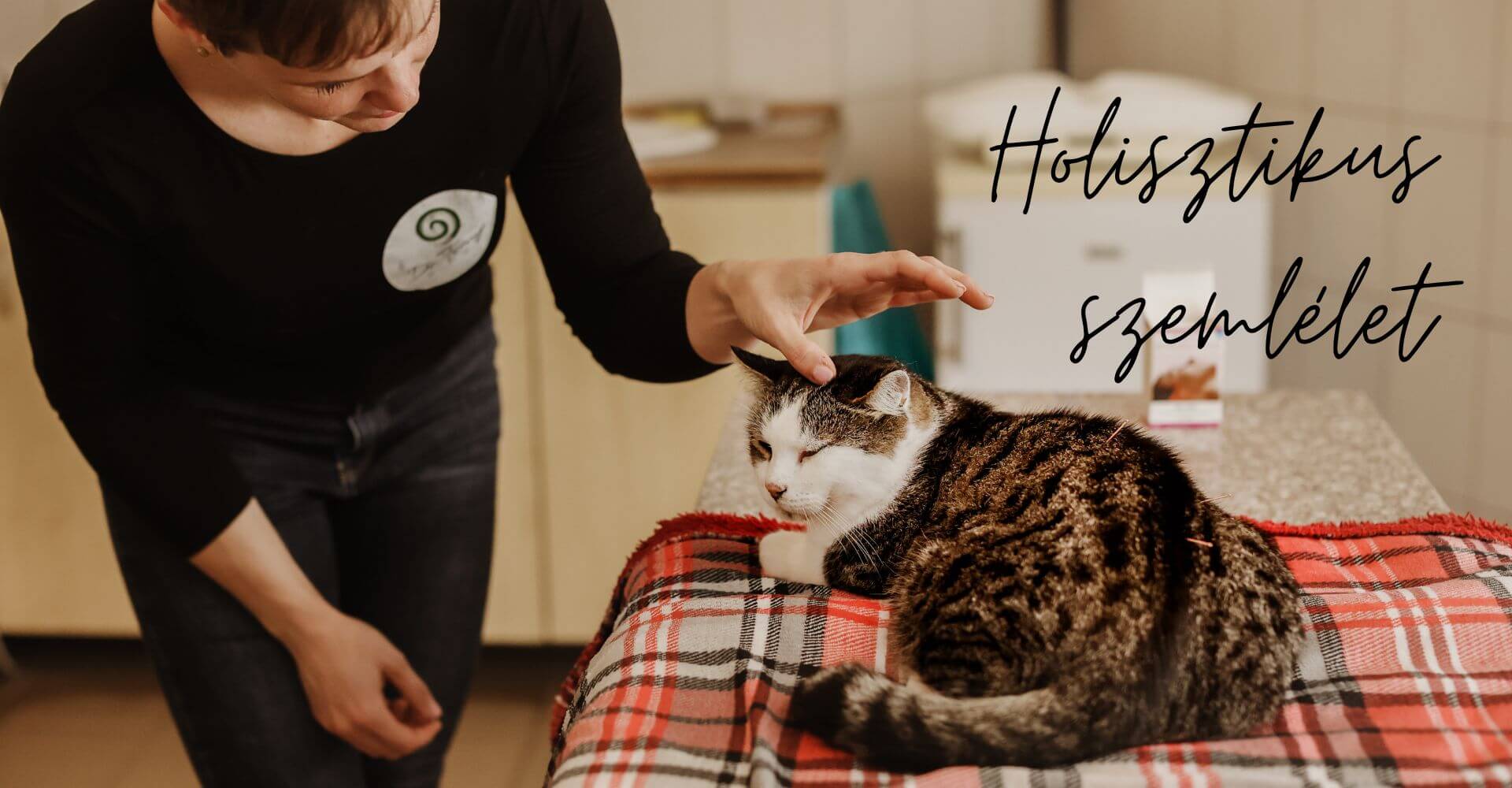 macska_akupunktura_f